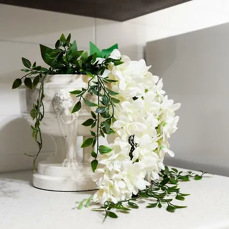 Doris House 公寓 索伦托