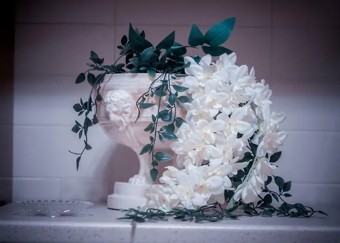 Doris House Apartment